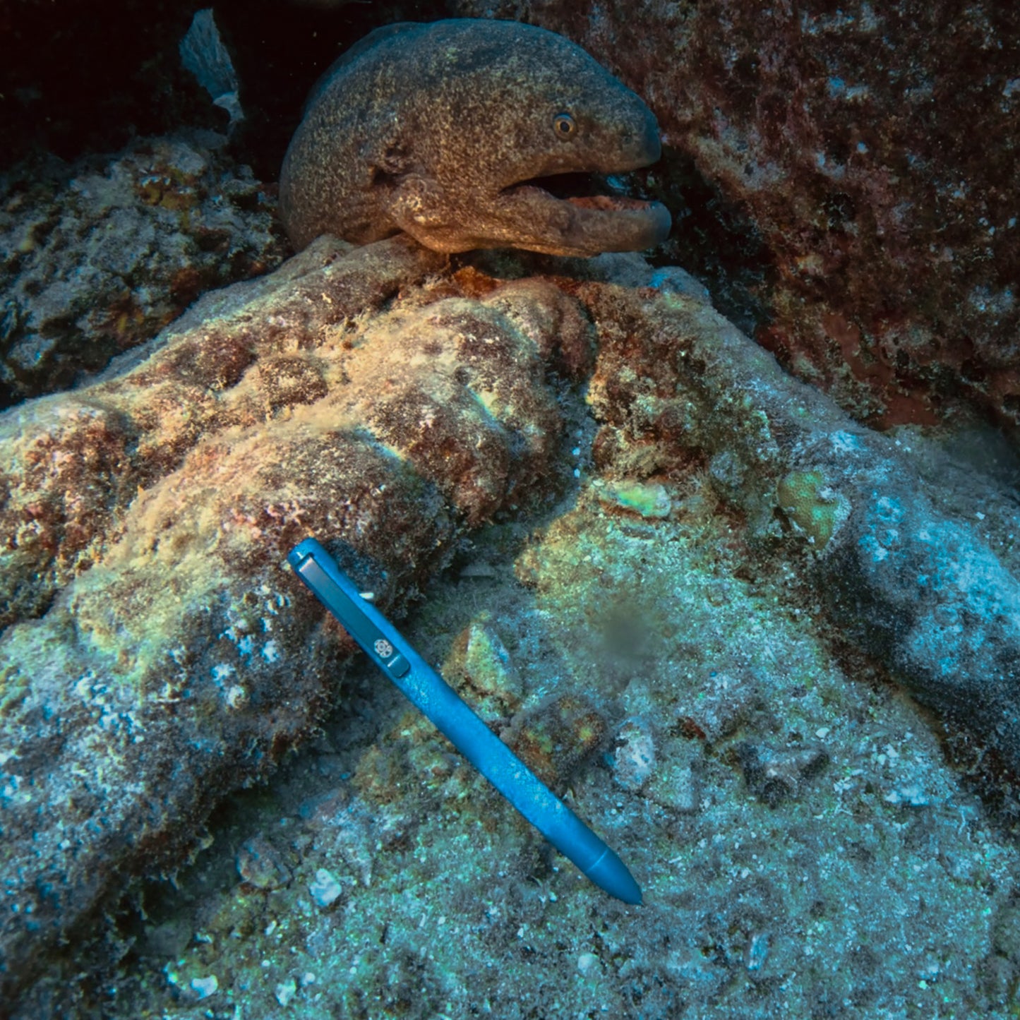Deep Sea